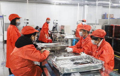 數(shù)字引擎驅(qū)動新篇章 岳陽市2021年產(chǎn)業(yè)項(xiàng)目建設(shè)流動現(xiàn)場會聚焦華容縣數(shù)碼產(chǎn)業(yè)發(fā)展